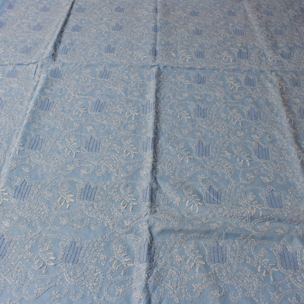 Powder Blue - Chikankari - Kurta