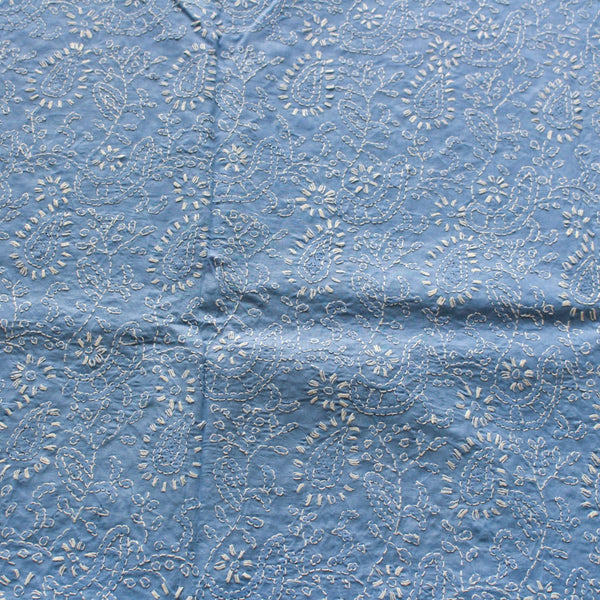 Powder Blue - Chikankari - Kurta